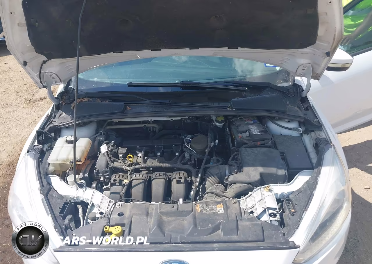 2016 Ford Focus Se VIN:1FADP3F25GL267432 - 10