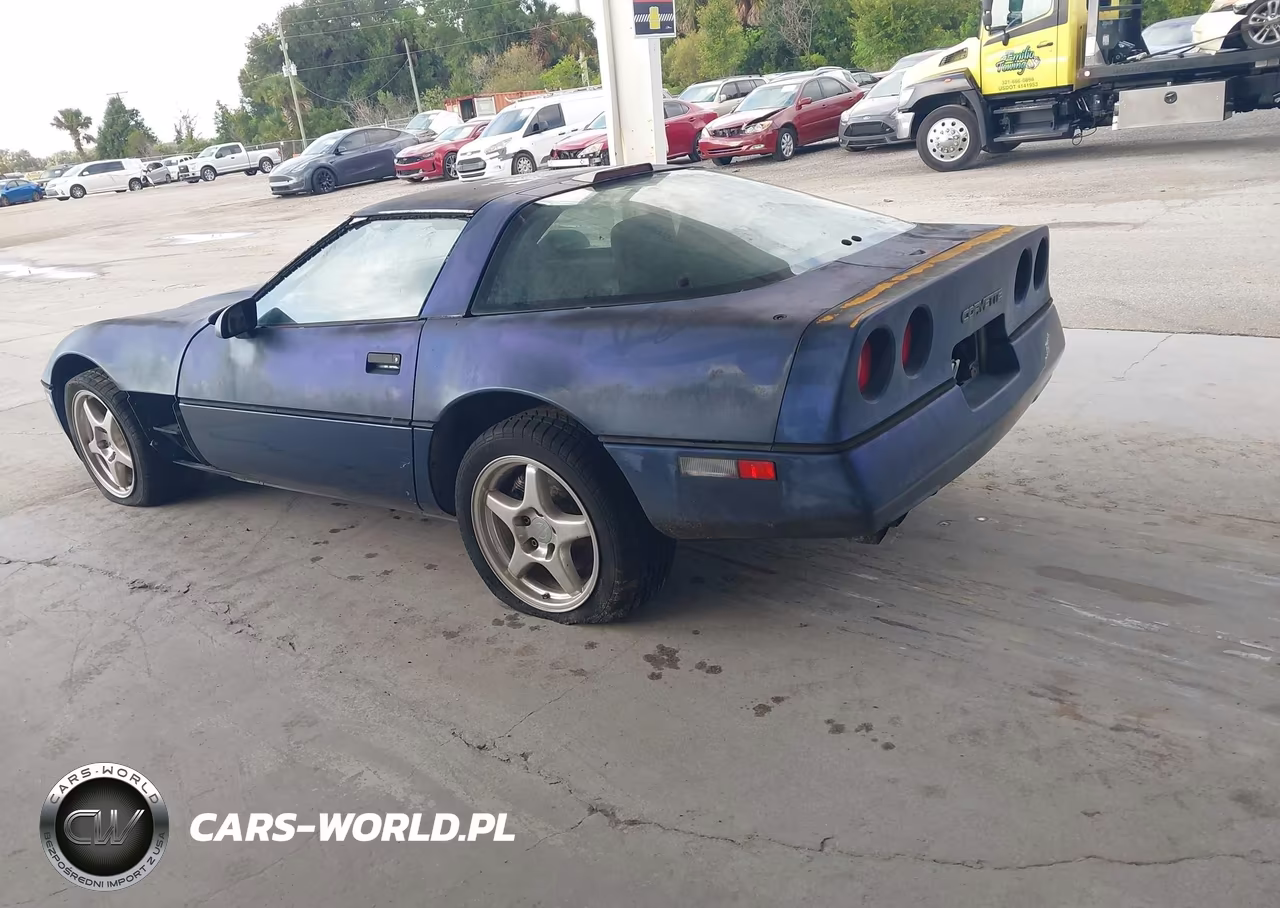 1989 Chevrolet Corvette VIN:1G1YY2187K5114863 - 3