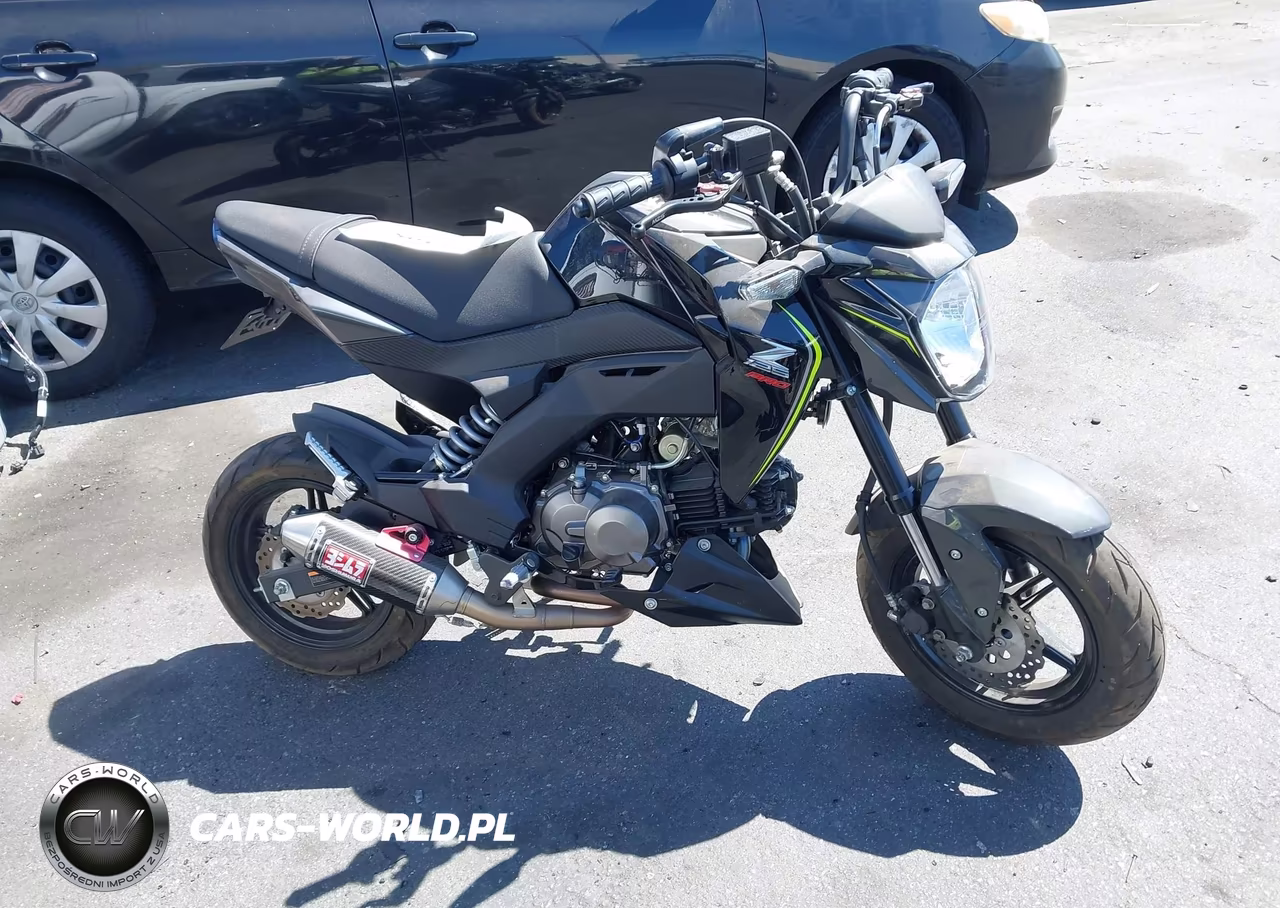 2018 Kawasaki Br125 J