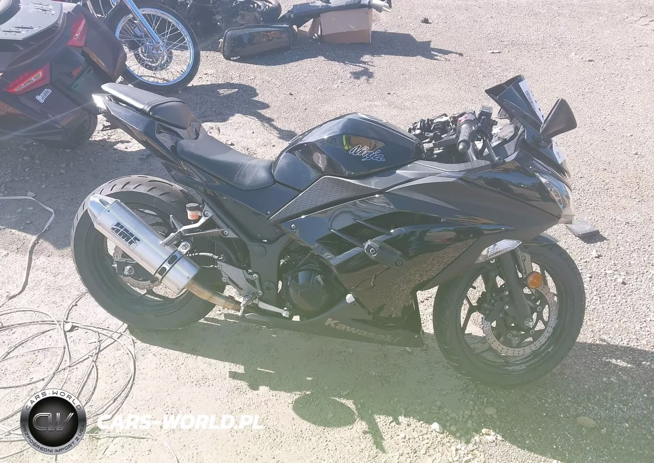 2014 Kawasaki Ex300 A VIN:JKAEX8A13EA001405 - 12