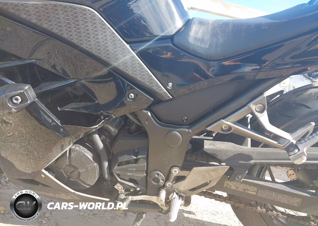 2014 Kawasaki Ex300 A VIN:JKAEX8A13EA001405 - 9