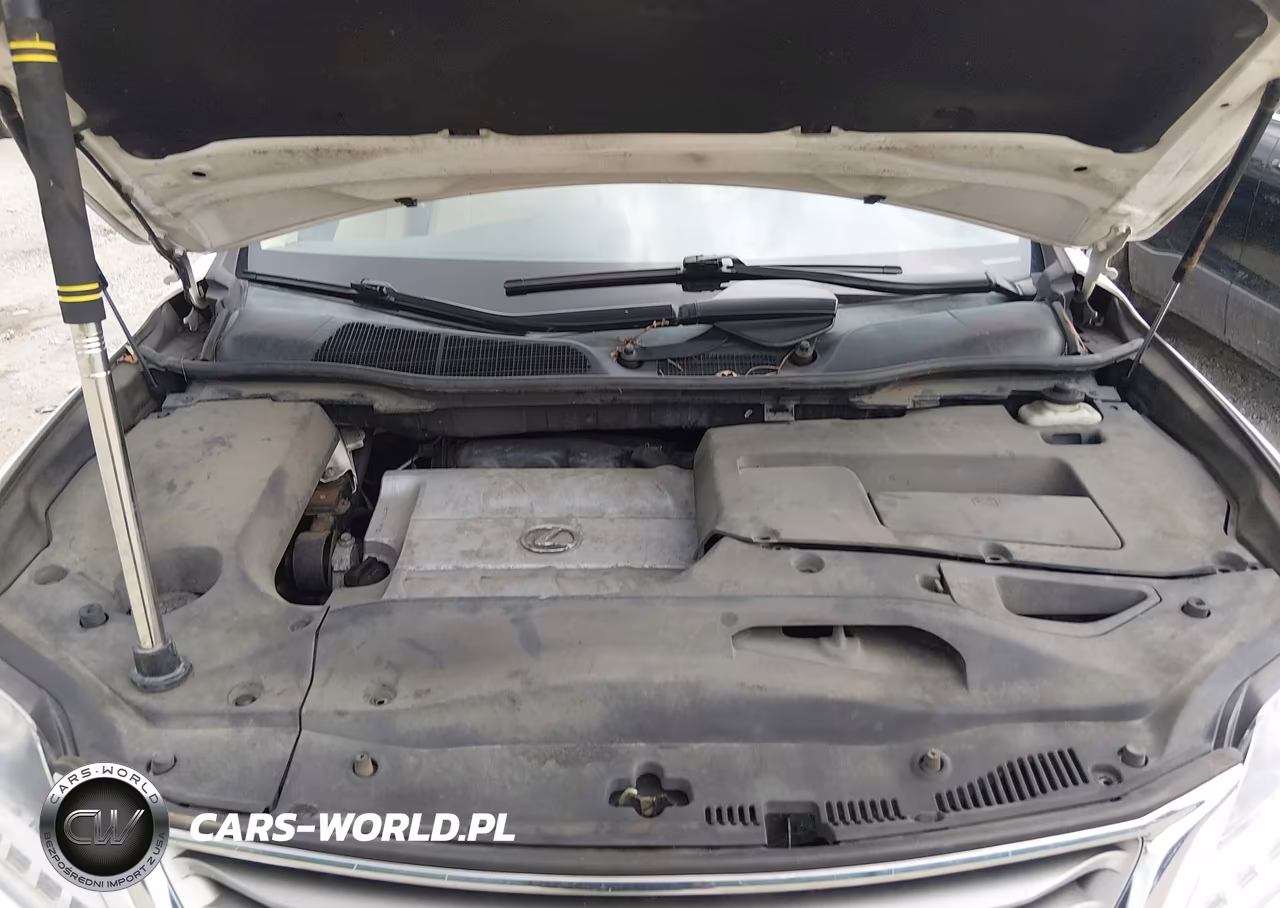 2015 Lexus Rx 350 VIN:2T2BK1BA3FC290940 - 10