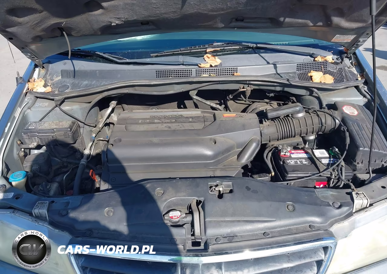 2002 Honda Odyssey Ex-L VIN:5FNRL18942B038956 - 10