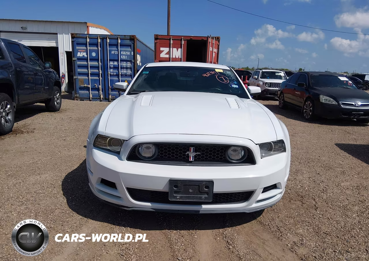 2014 Ford Mustang Gt VIN:1ZVBP8CF7E5326663 - 12