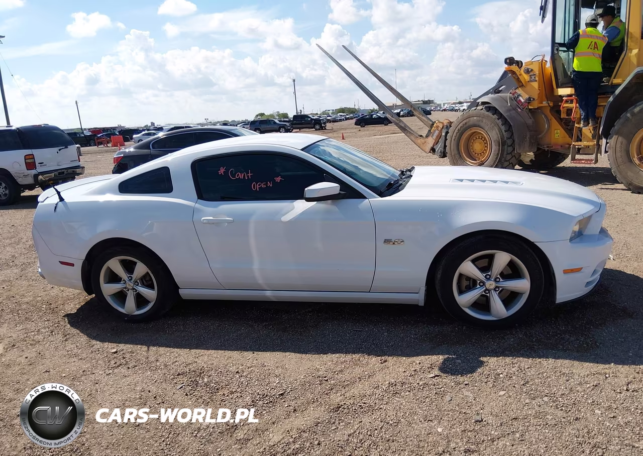 2014 Ford Mustang Gt VIN:1ZVBP8CF7E5326663 - 13