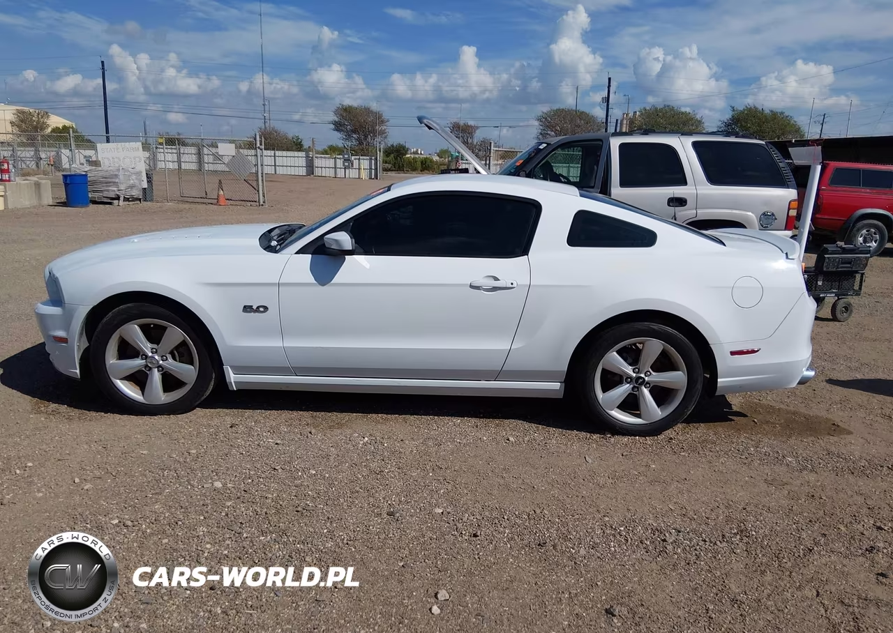 2014 Ford Mustang Gt VIN:1ZVBP8CF7E5326663 - 14