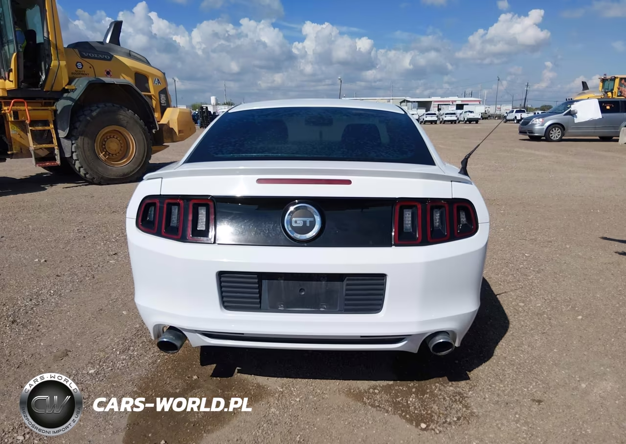 2014 Ford Mustang Gt VIN:1ZVBP8CF7E5326663 - 16