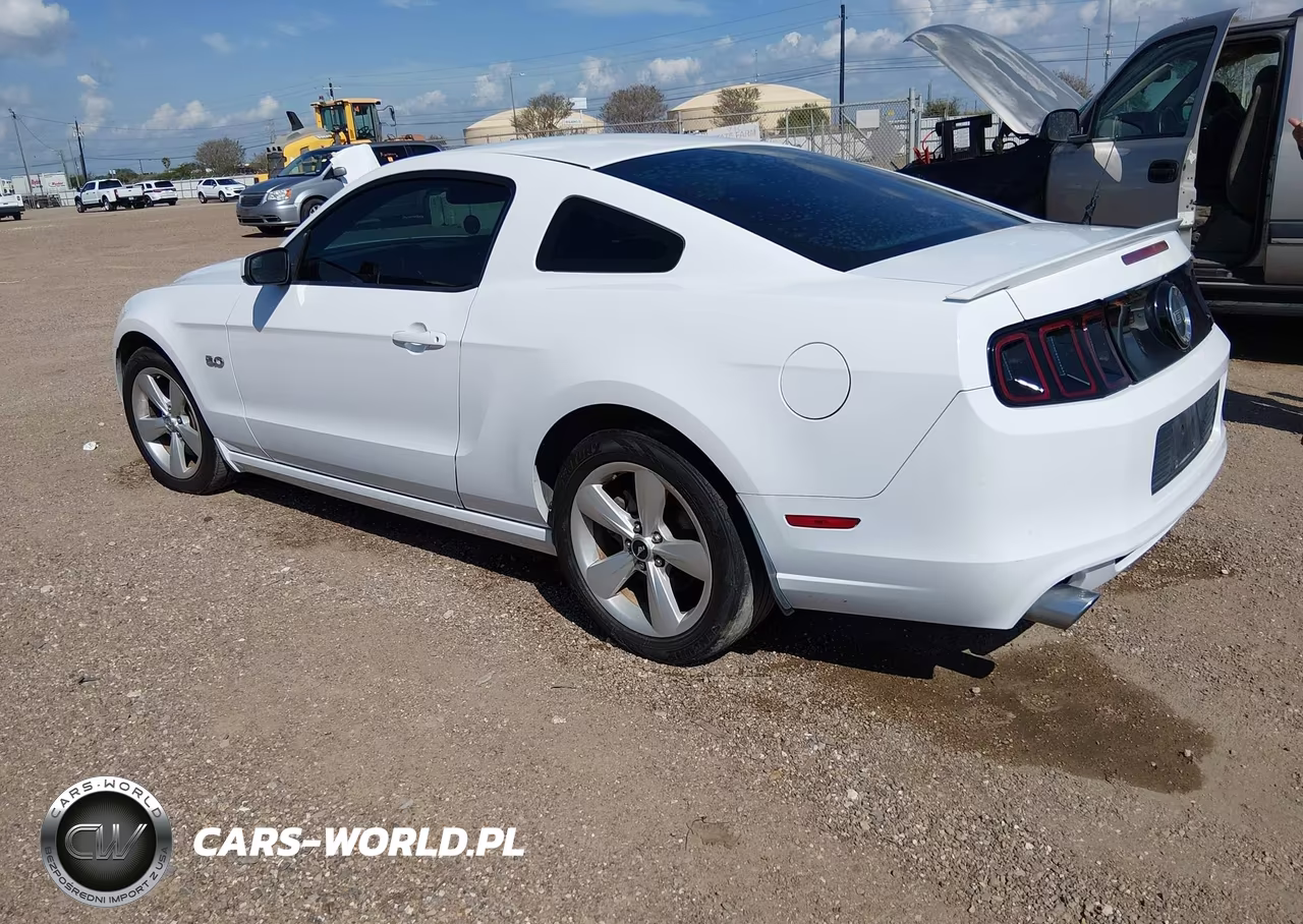 2014 Ford Mustang Gt VIN:1ZVBP8CF7E5326663 - 3
