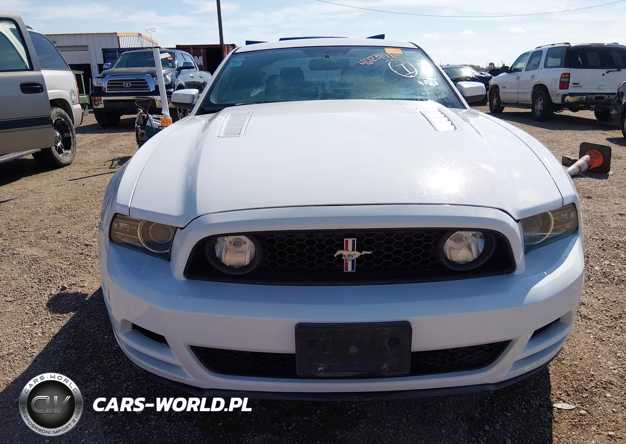 2014 Ford Mustang Gt VIN:1ZVBP8CF7E5326663 - 6