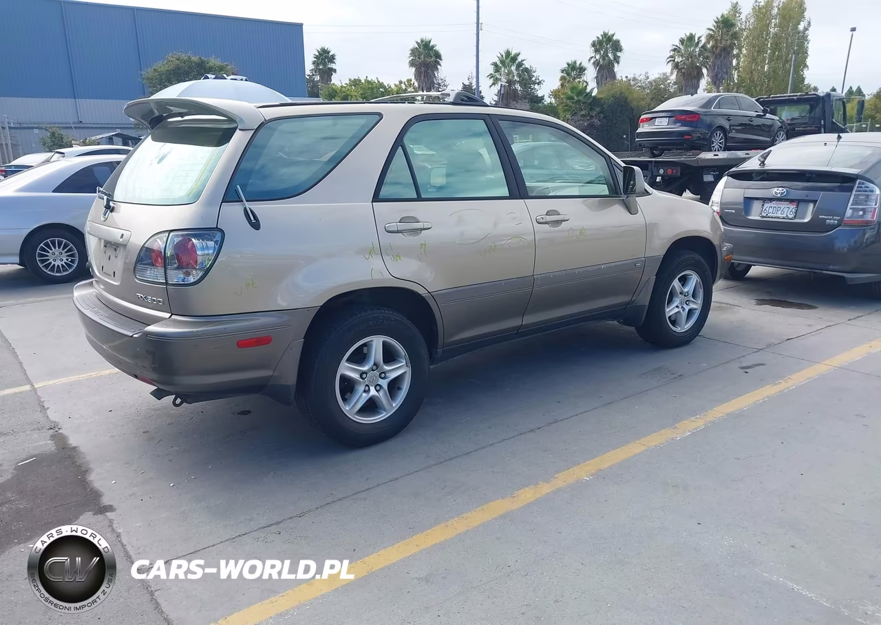 2001 Lexus Rx 300 VIN:JTJHF10U710218624 - 4