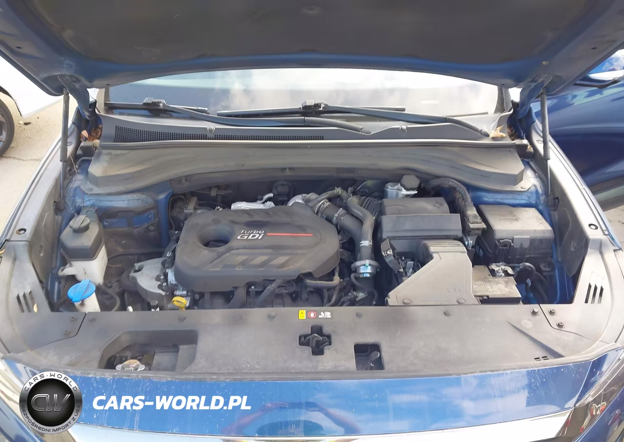 2020 Hyundai Santa Fe Limited 2.0T VIN:5NMS5CAA1LH227754 - 10
