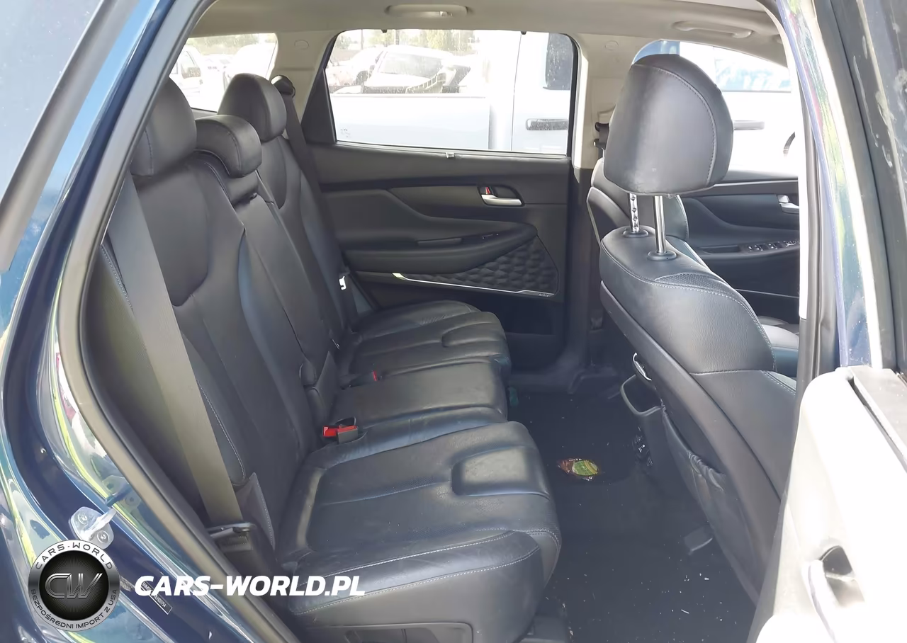 2020 Hyundai Santa Fe Limited 2.0T VIN:5NMS5CAA1LH227754 - 8