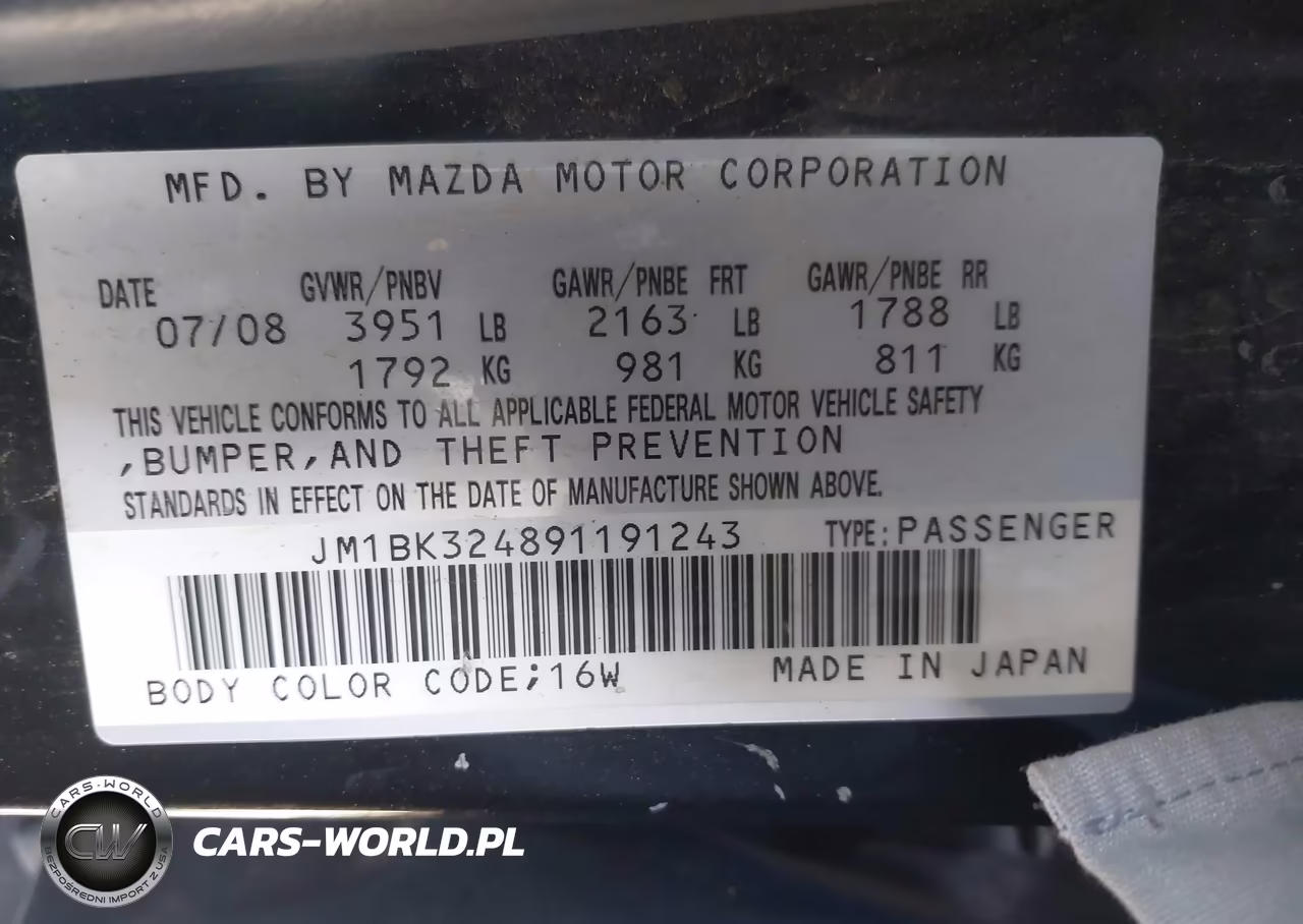 2009 Mazda 3 VIN:JM1BK324891191243 - 9
