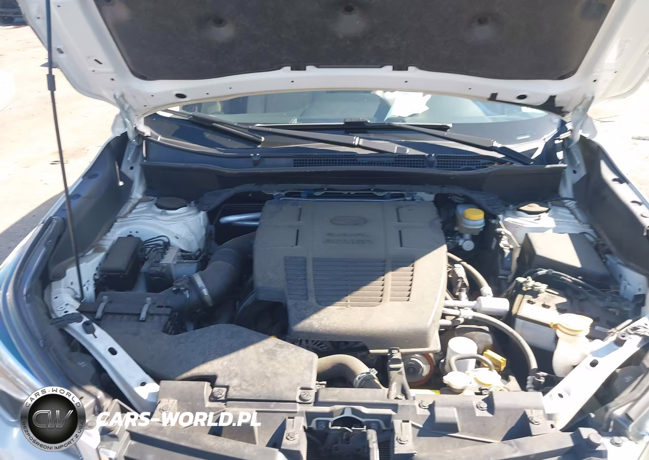 2019 Subaru Forester Limited VIN:JF2SKAUC7KH580589 - 10