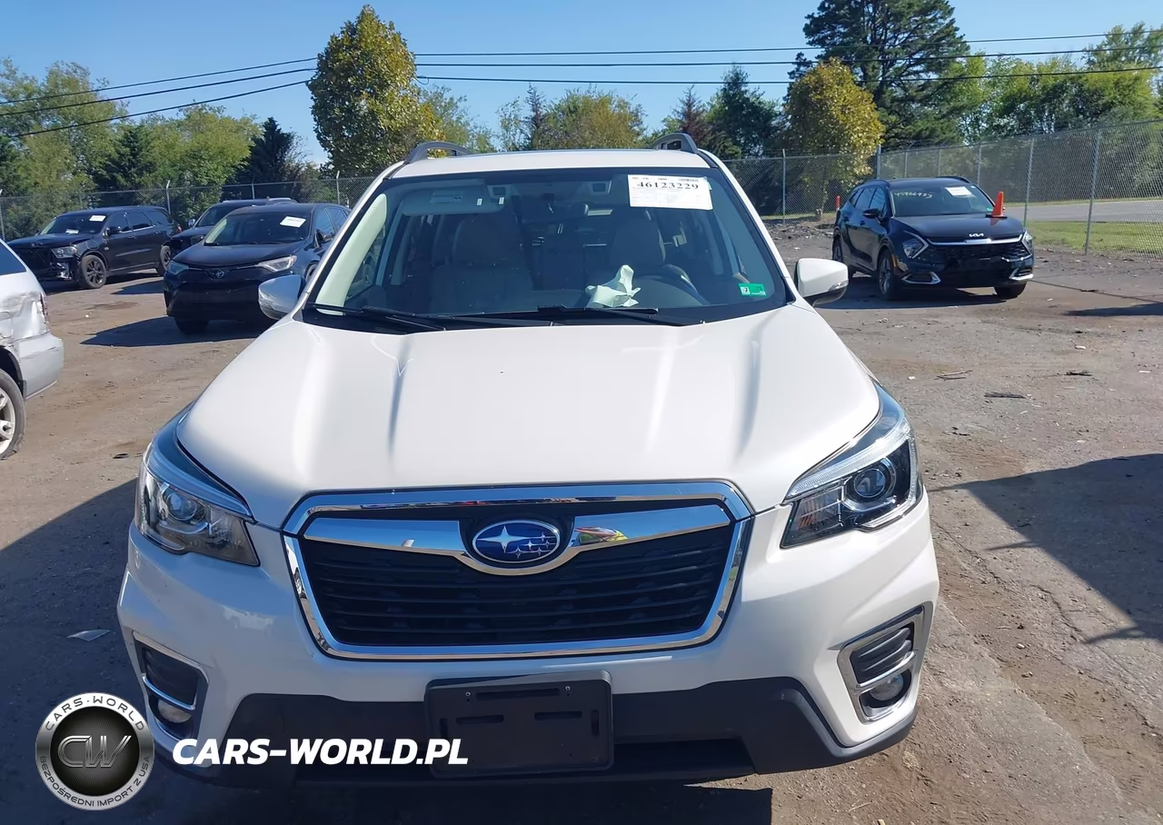 2019 Subaru Forester Limited VIN:JF2SKAUC7KH580589 - 12