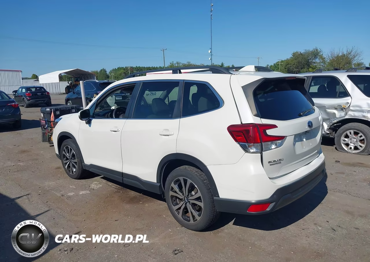 2019 Subaru Forester Limited VIN:JF2SKAUC7KH580589 - 3