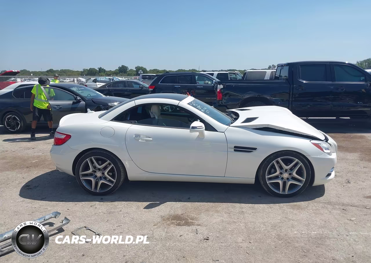 2014 Mercedes-Benz Slk 250 VIN:WDDPK4HA9EF092197 - 13