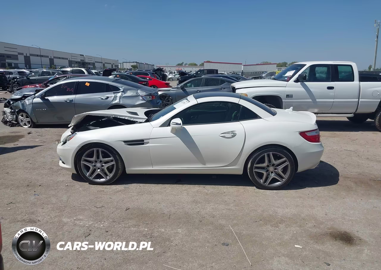 2014 Mercedes-Benz Slk 250 VIN:WDDPK4HA9EF092197 - 14