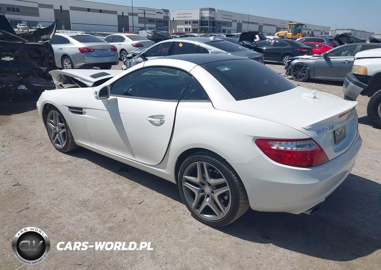 2014 Mercedes-Benz Slk 250 VIN:WDDPK4HA9EF092197 - 3