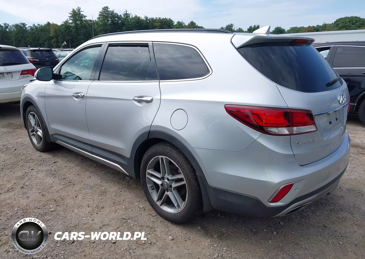 2017 Hyundai Santa Fe Limited Ultimate VIN:KM8SRDHF6HU220774 - 3