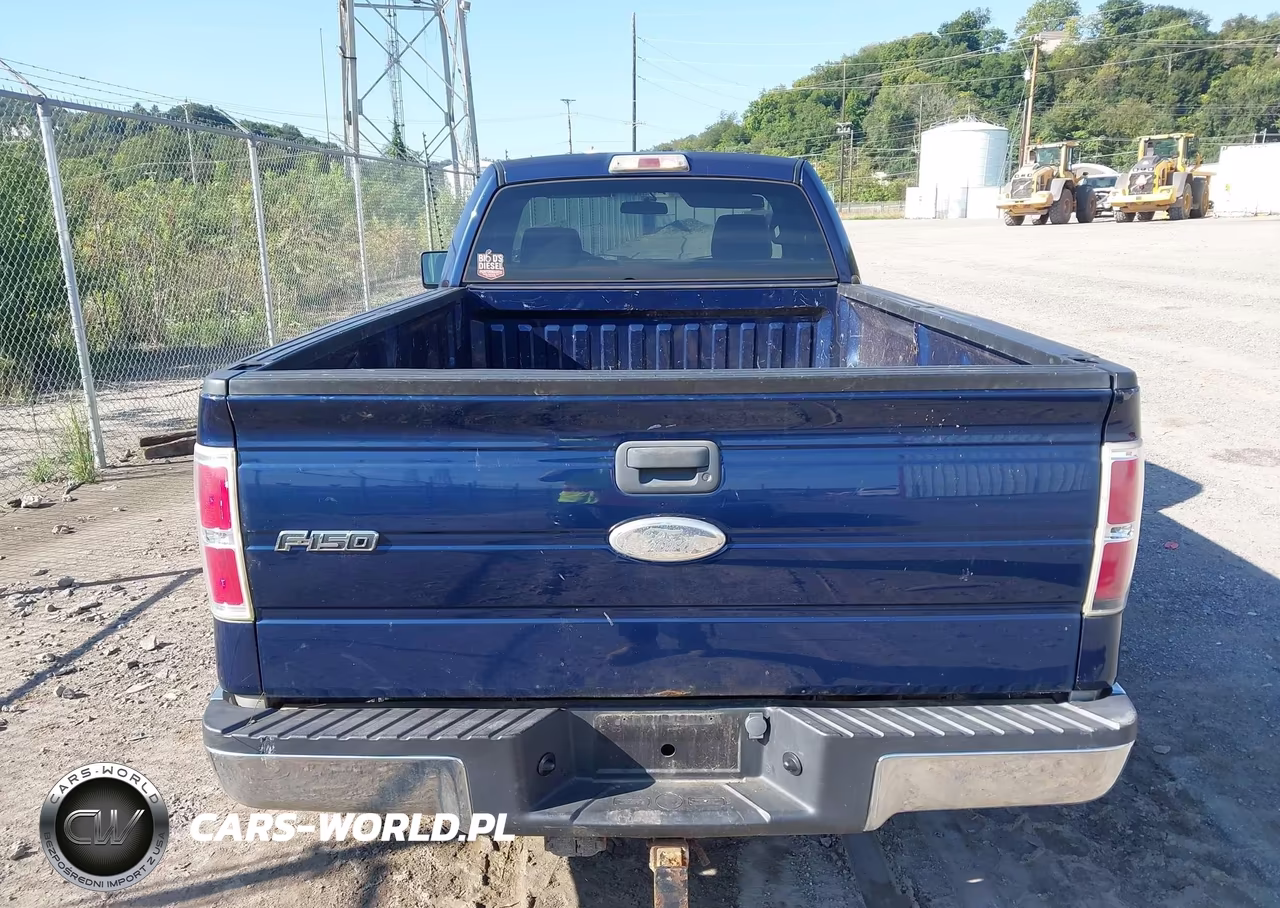 2009 Ford F-150 Xl-Xlt VIN:1FTRF128X9KB05564 - 16