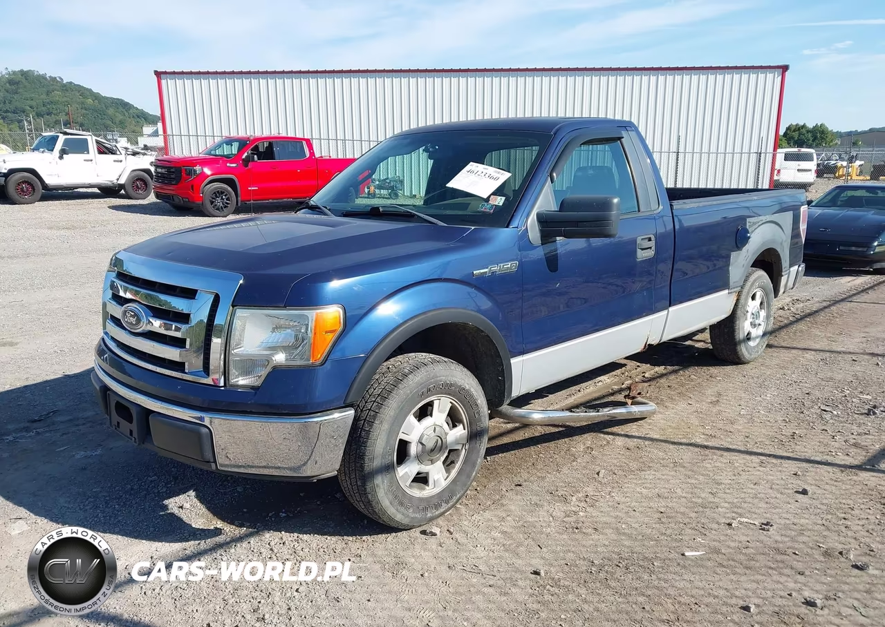 2009 Ford F-150 Xl-Xlt VIN:1FTRF128X9KB05564 - 2