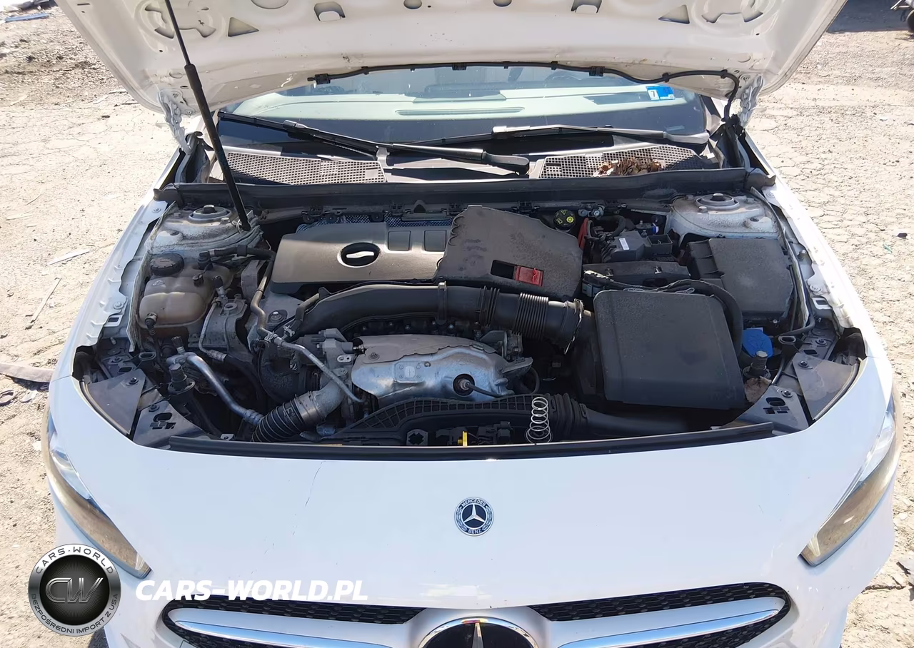 2019 Mercedes-Benz A 220 VIN:WDD3G4EB1KW012450 - 10