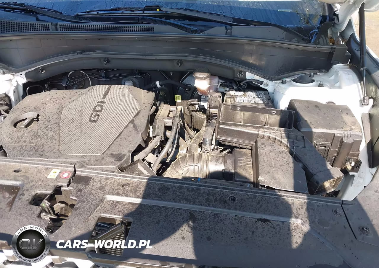 2021 Hyundai Santa Fe Sel VIN:5NMS2DAJ7MH370188 - 10