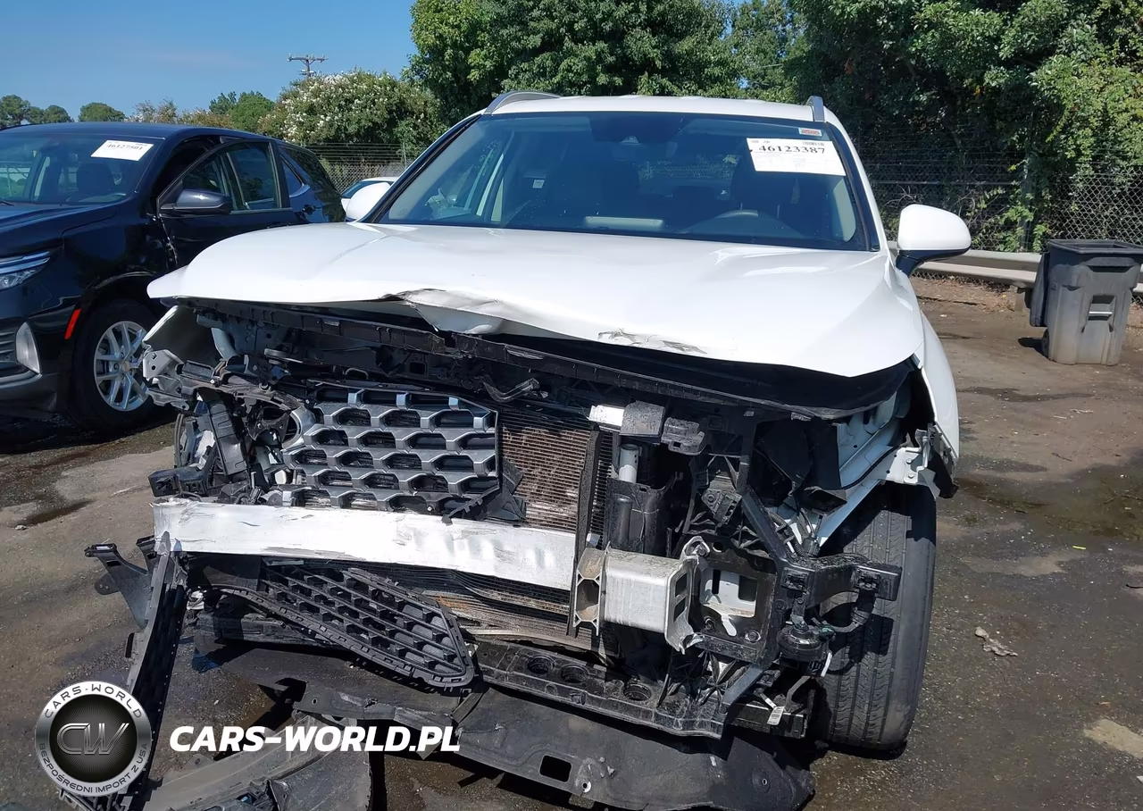2021 Hyundai Santa Fe Sel VIN:5NMS2DAJ7MH370188 - 12