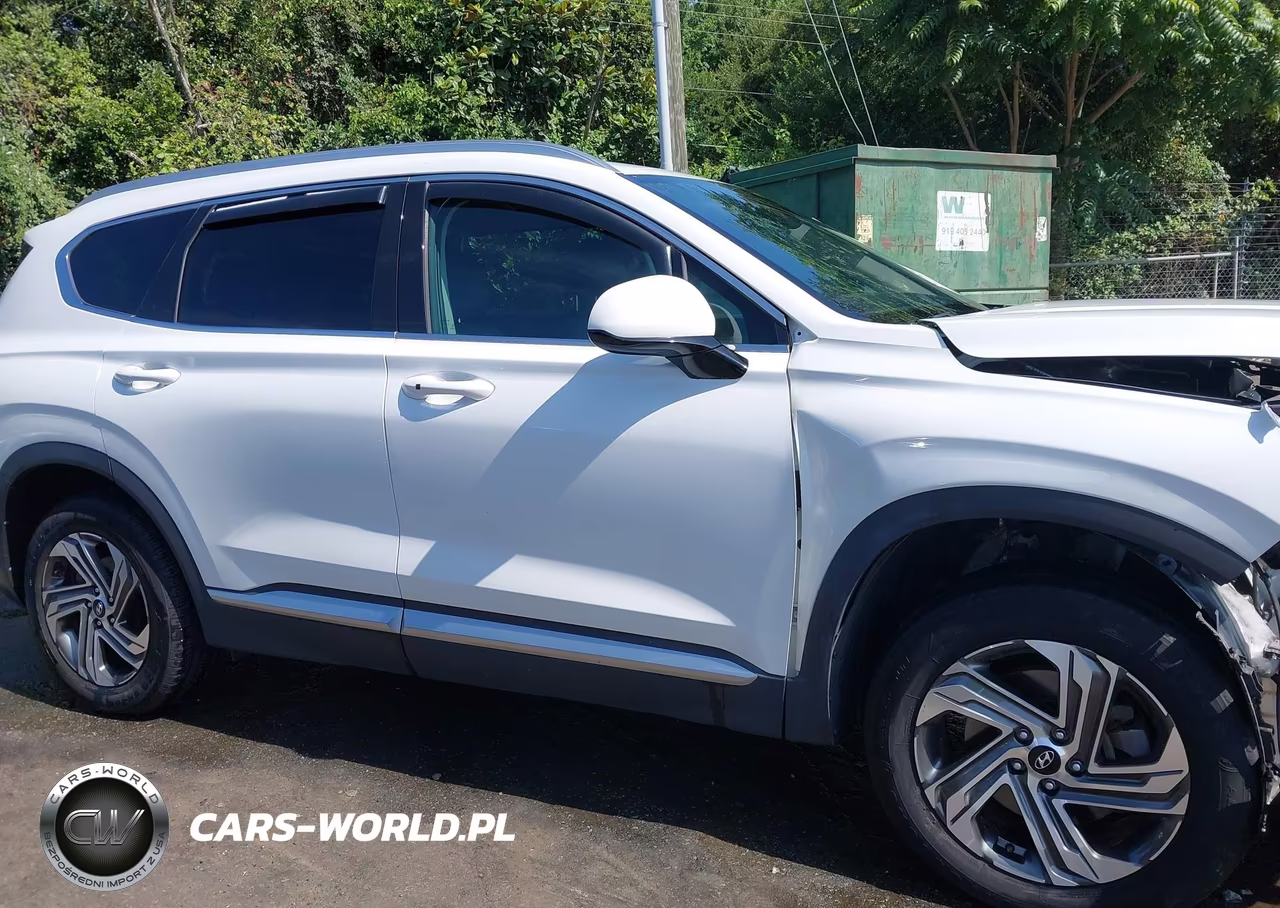 2021 Hyundai Santa Fe Sel VIN:5NMS2DAJ7MH370188 - 13