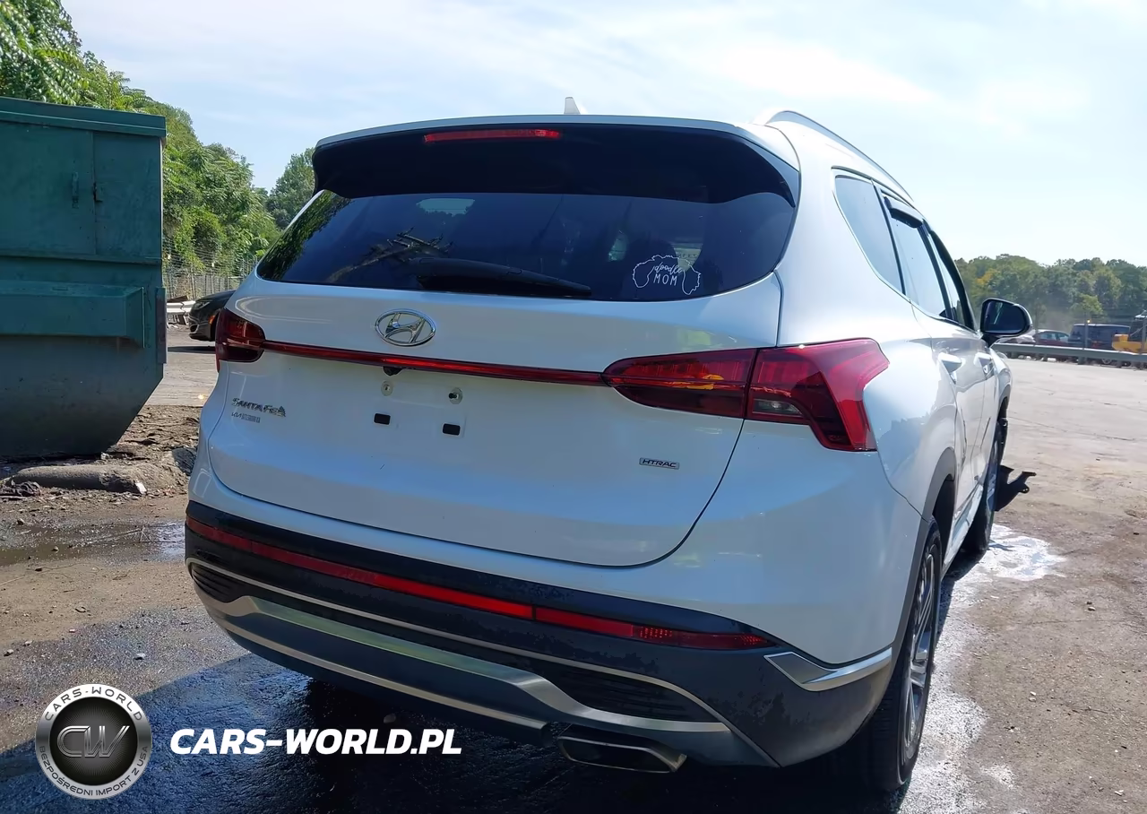 2021 Hyundai Santa Fe Sel VIN:5NMS2DAJ7MH370188 - 16