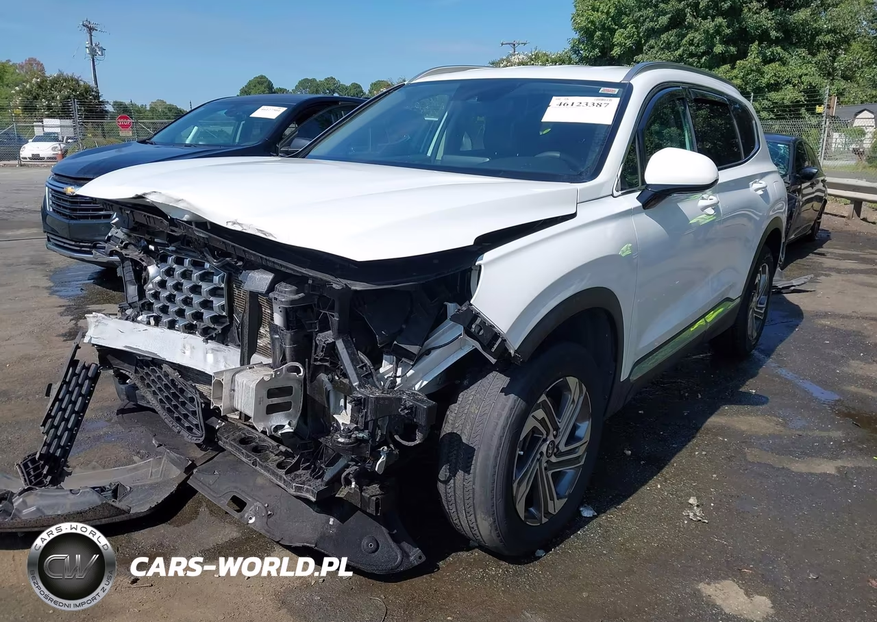 2021 Hyundai Santa Fe Sel VIN:5NMS2DAJ7MH370188 - 2
