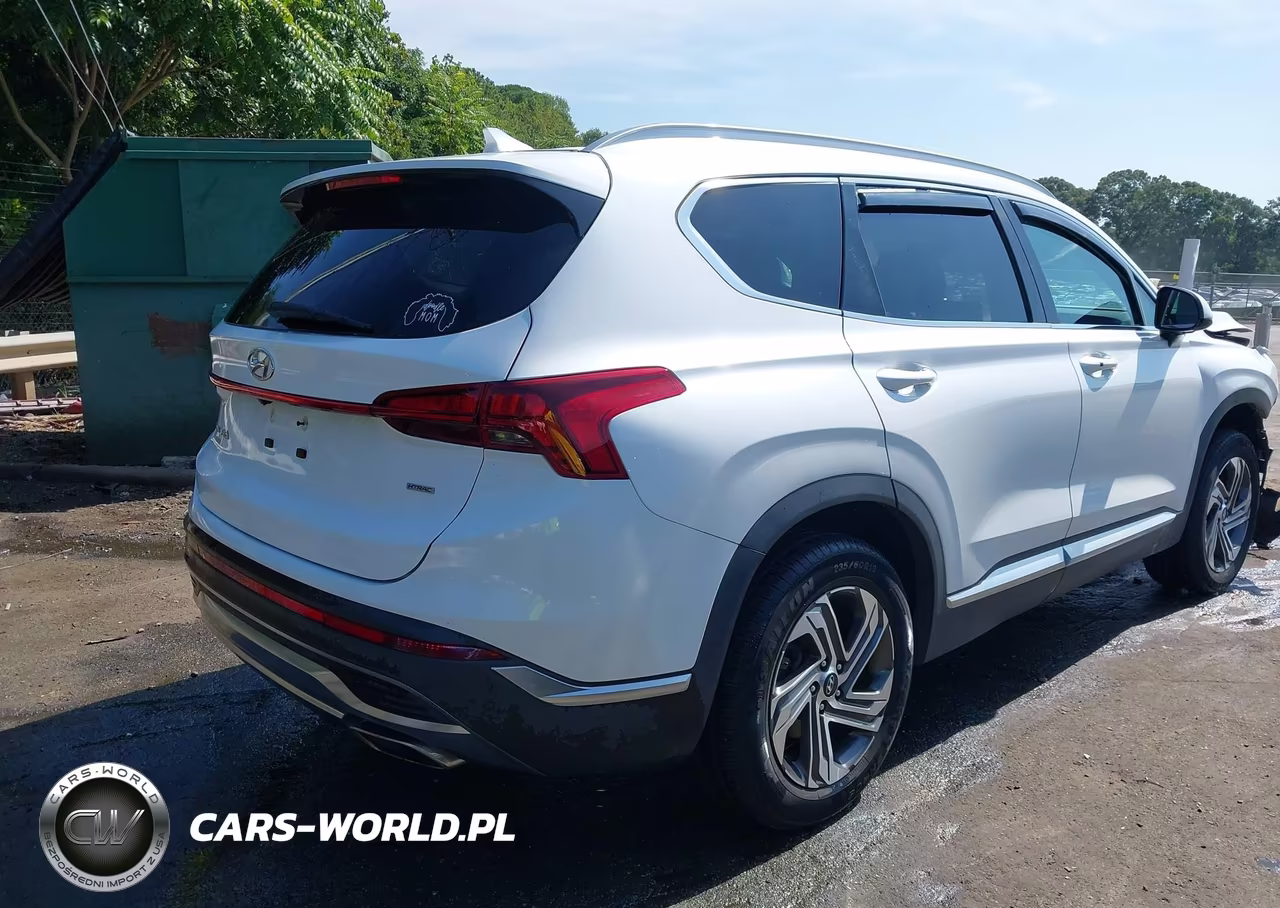 2021 Hyundai Santa Fe Sel VIN:5NMS2DAJ7MH370188 - 4