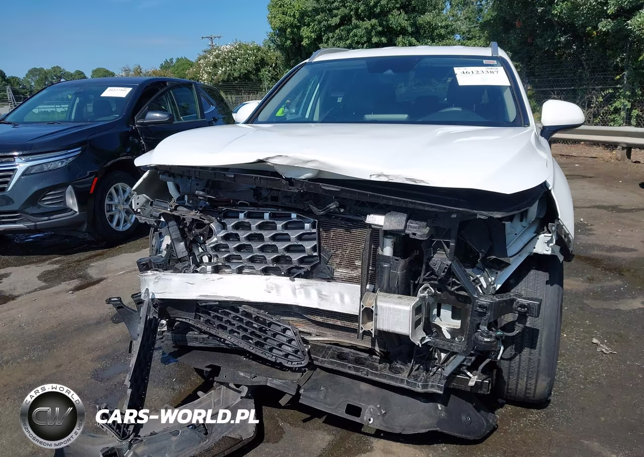 2021 Hyundai Santa Fe Sel VIN:5NMS2DAJ7MH370188 - 6