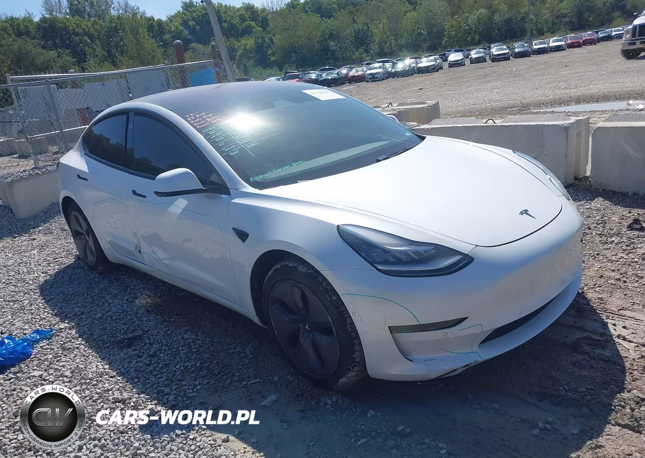 2020 Tesla Model 3 Standard Range Plus Rear-Wheel Drive-Standard Range Rear-Wheel Drive VIN:5YJ3E1EA1LF612820 - 1