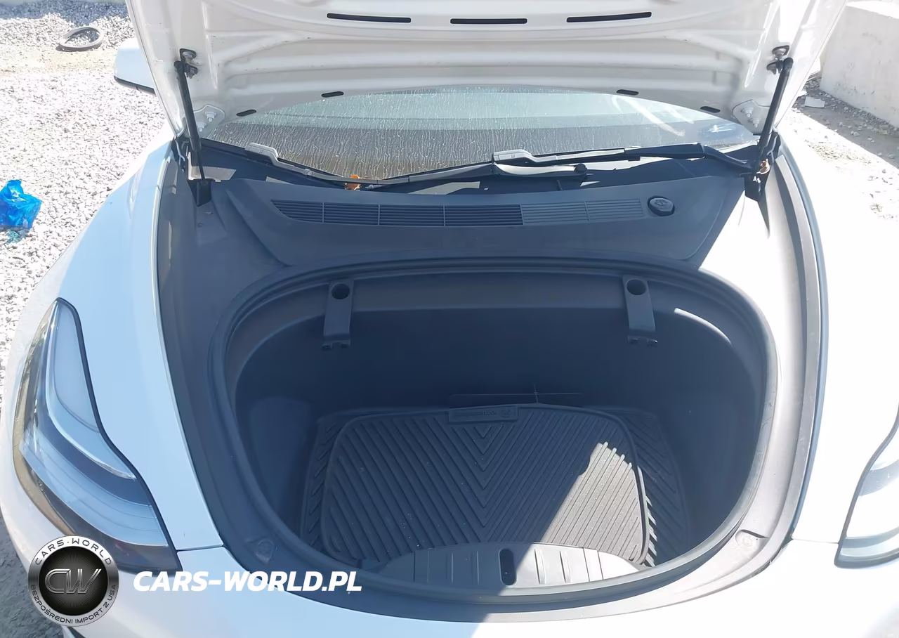 2020 Tesla Model 3 Standard Range Plus Rear-Wheel Drive-Standard Range Rear-Wheel Drive VIN:5YJ3E1EA1LF612820 - 10
