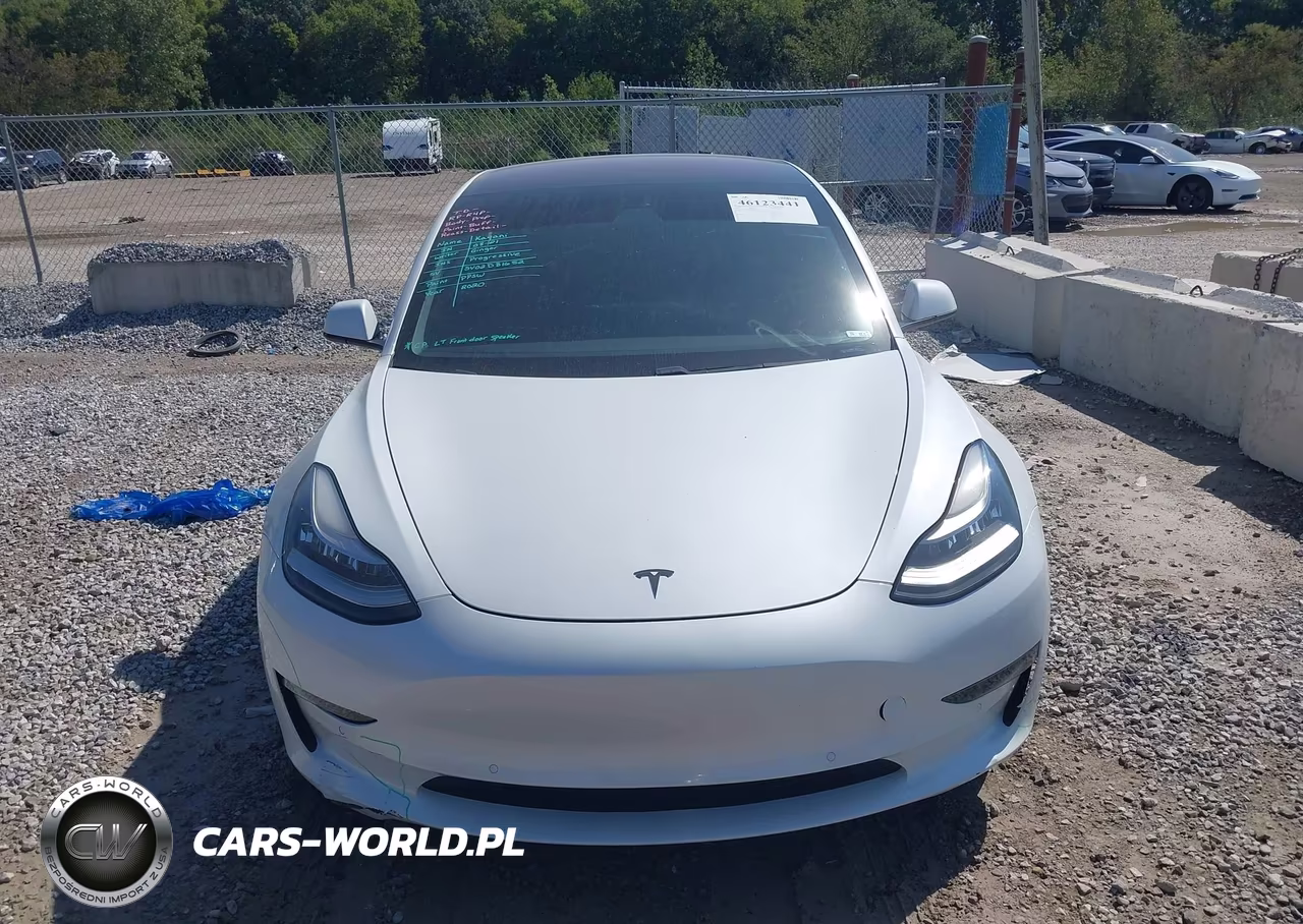 2020 Tesla Model 3 Standard Range Plus Rear-Wheel Drive-Standard Range Rear-Wheel Drive VIN:5YJ3E1EA1LF612820 - 12