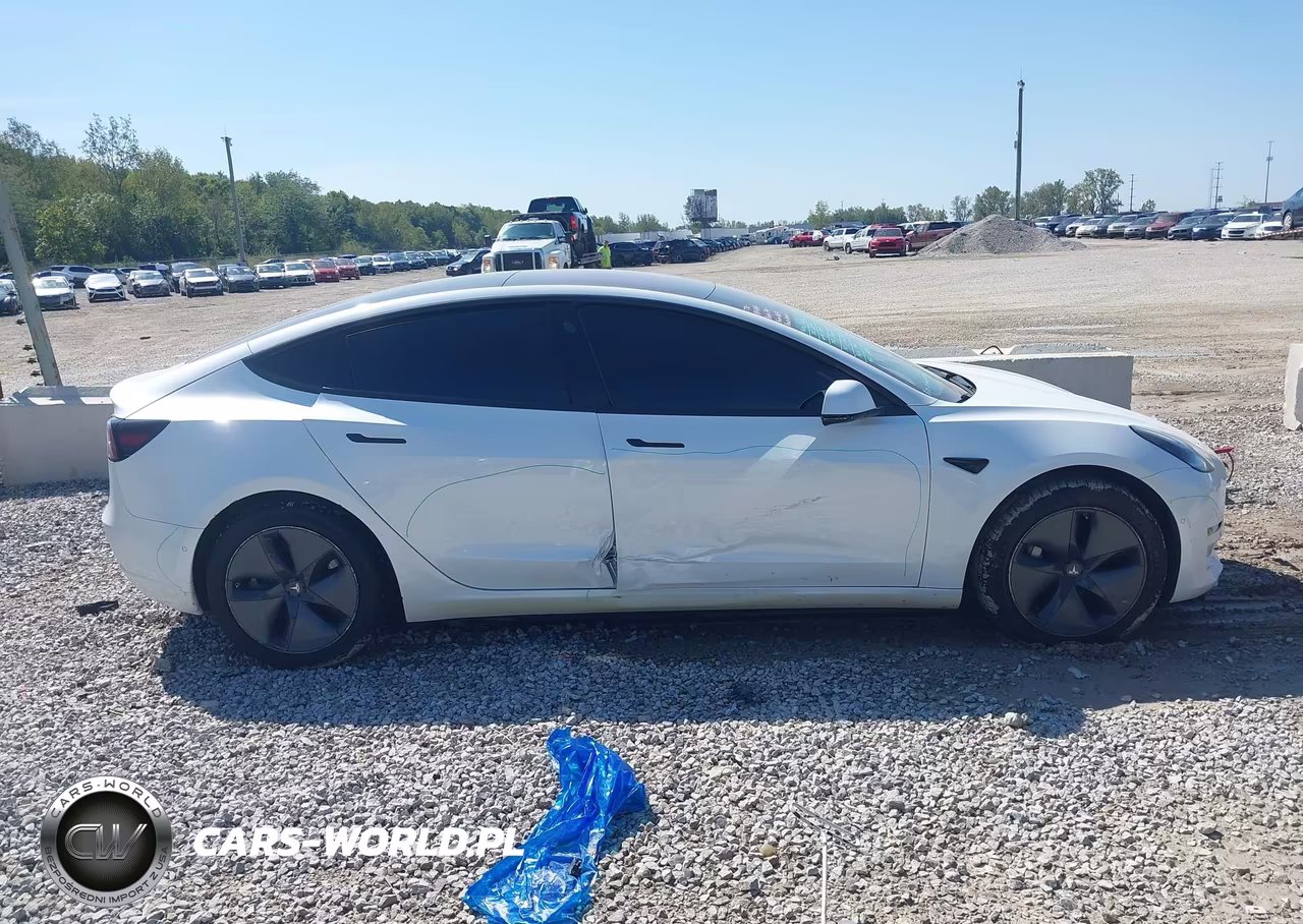 2020 Tesla Model 3 Standard Range Plus Rear-Wheel Drive-Standard Range Rear-Wheel Drive VIN:5YJ3E1EA1LF612820 - 13