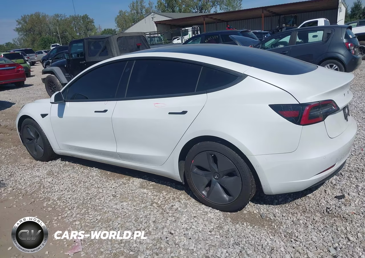 2020 Tesla Model 3 Standard Range Plus Rear-Wheel Drive-Standard Range Rear-Wheel Drive VIN:5YJ3E1EA1LF612820 - 14
