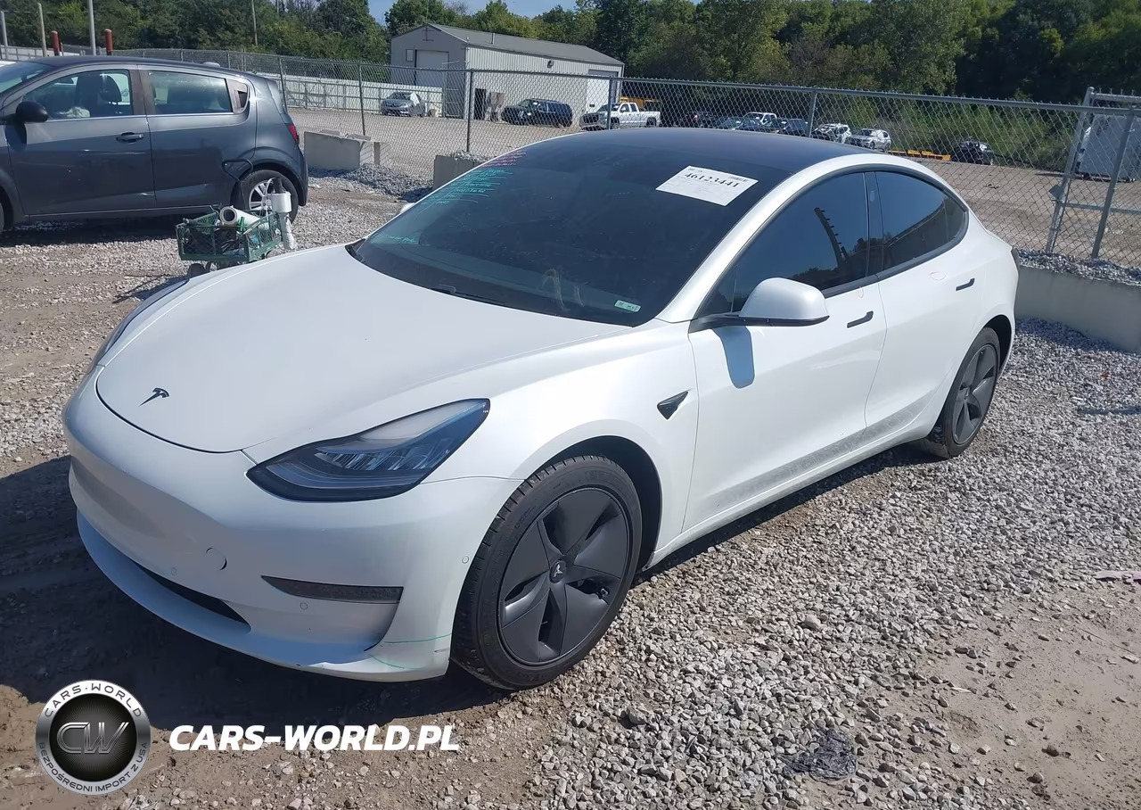2020 Tesla Model 3 Standard Range Plus Rear-Wheel Drive-Standard Range Rear-Wheel Drive VIN:5YJ3E1EA1LF612820 - 2