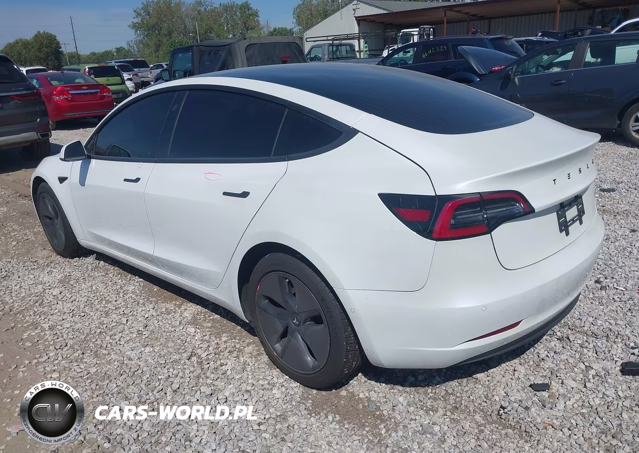 2020 Tesla Model 3 Standard Range Plus Rear-Wheel Drive-Standard Range Rear-Wheel Drive VIN:5YJ3E1EA1LF612820 - 3