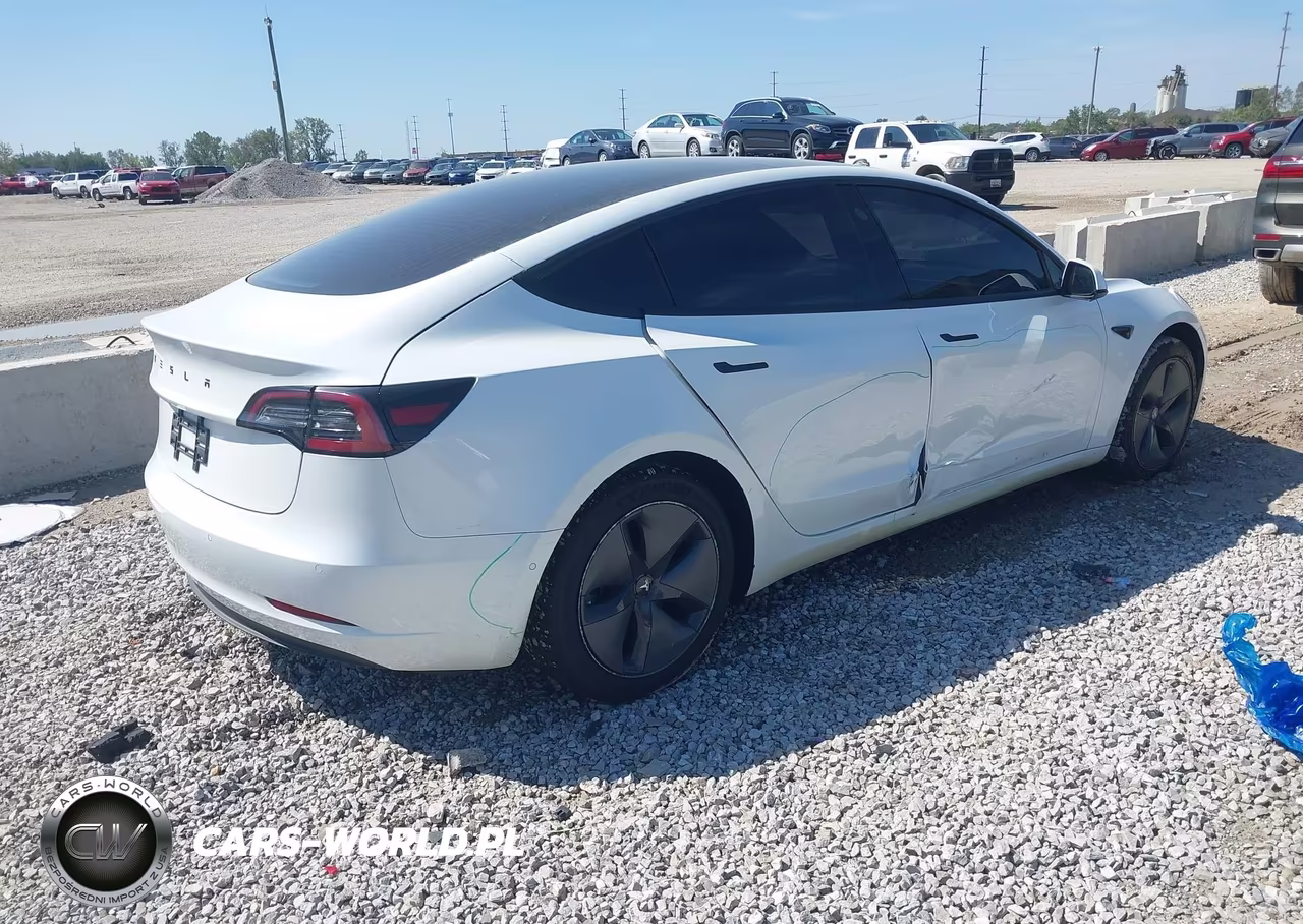 2020 Tesla Model 3 Standard Range Plus Rear-Wheel Drive-Standard Range Rear-Wheel Drive VIN:5YJ3E1EA1LF612820 - 4