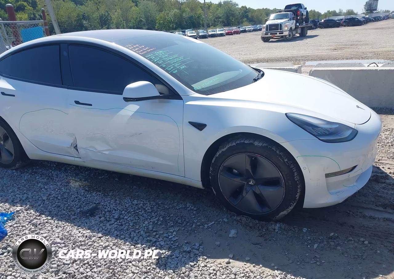 2020 Tesla Model 3 Standard Range Plus Rear-Wheel Drive-Standard Range Rear-Wheel Drive VIN:5YJ3E1EA1LF612820 - 6