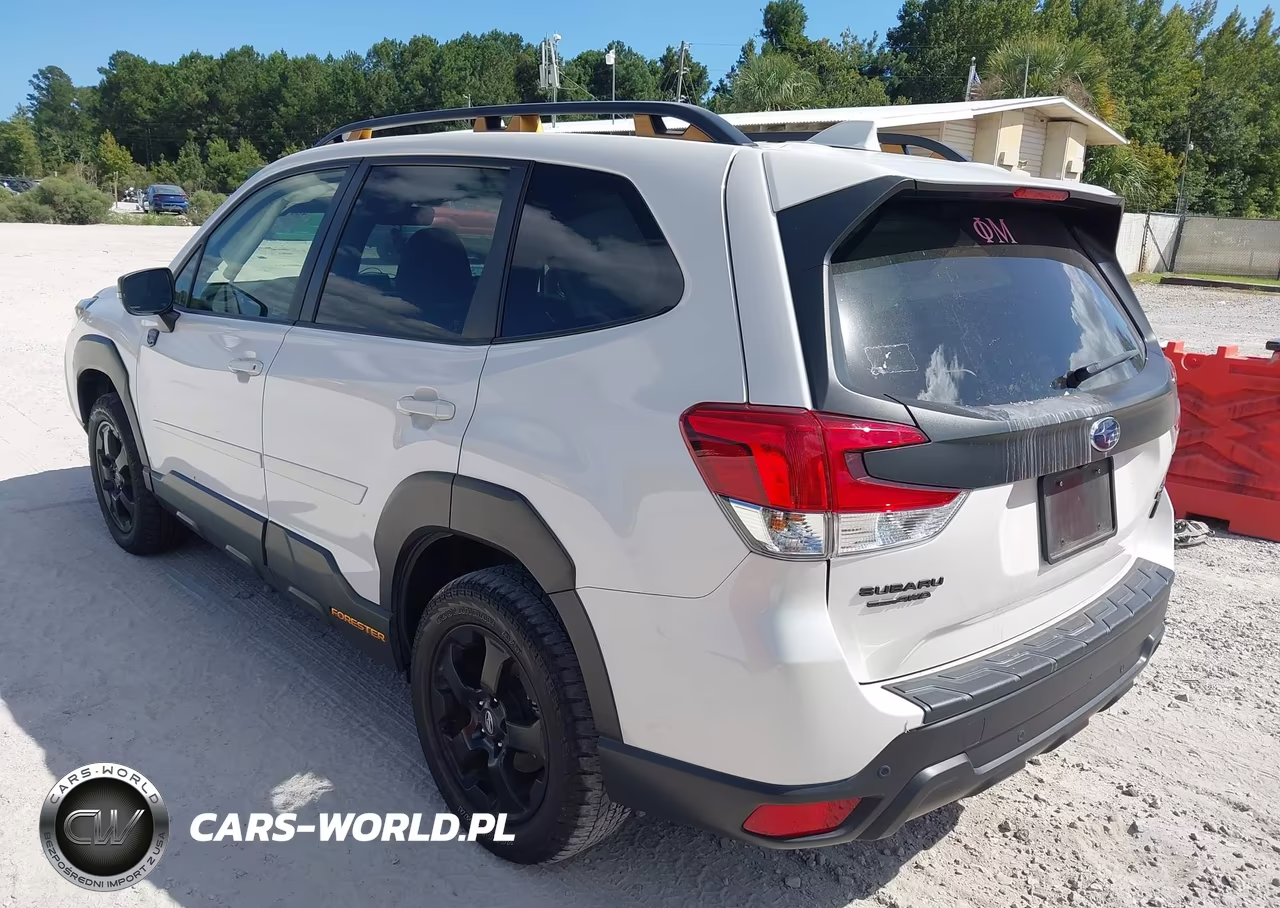 2022 Subaru Forester Wilderness VIN:JF2SKAMC9NH529941 - 3