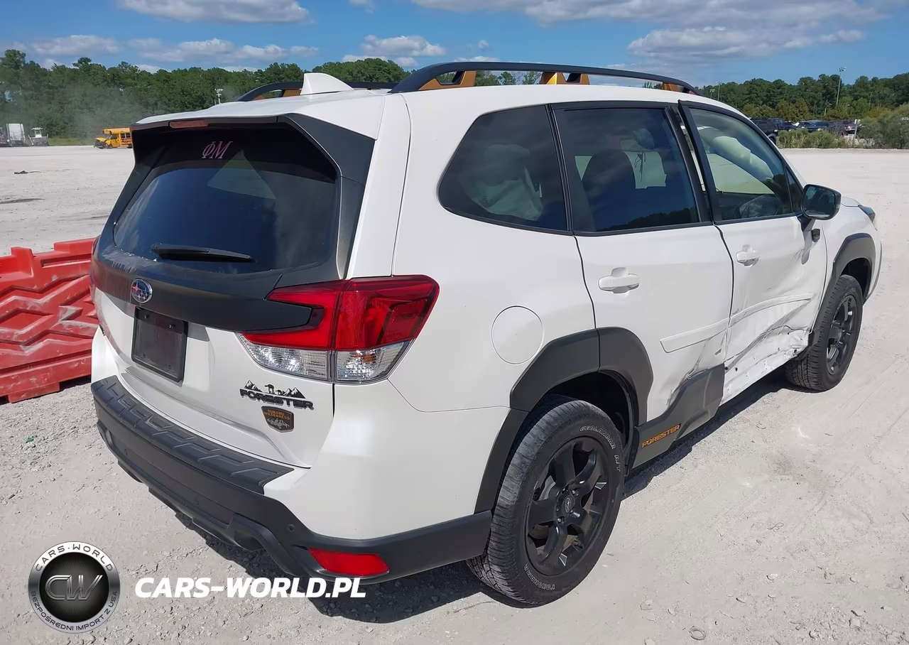 2022 Subaru Forester Wilderness VIN:JF2SKAMC9NH529941 - 4
