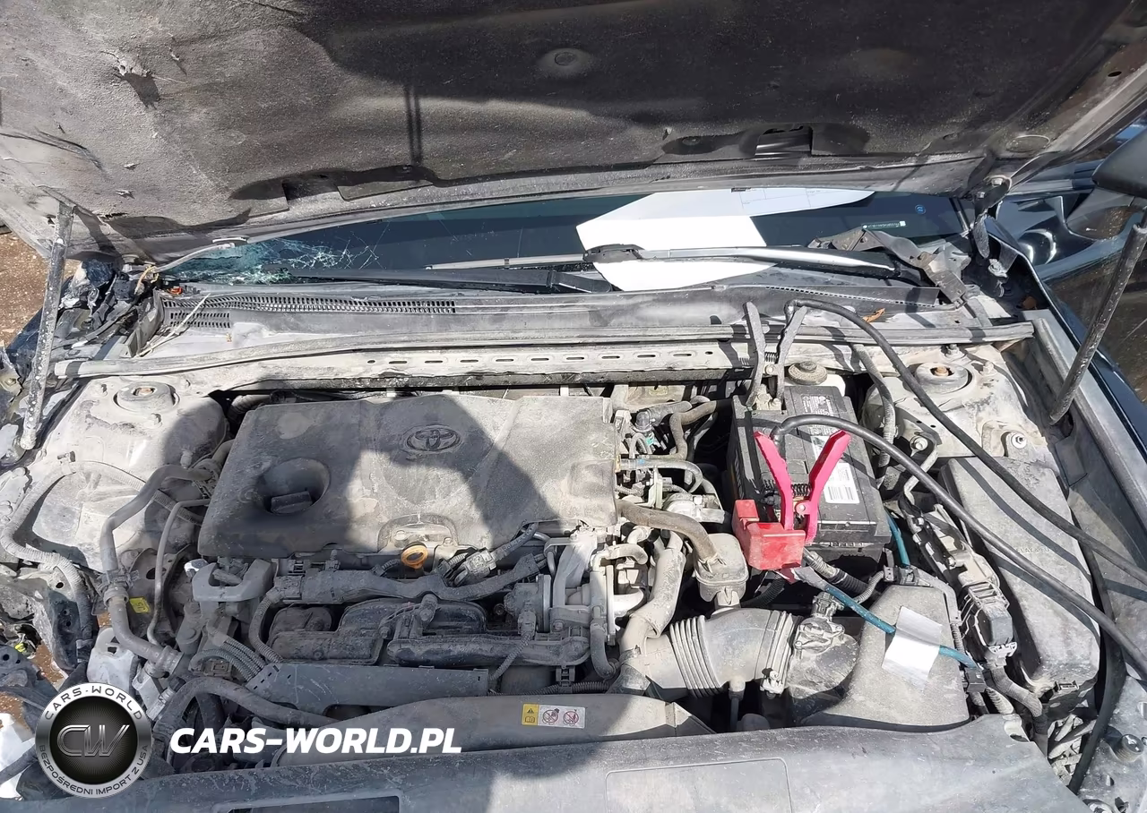 2019 Toyota Camry Se VIN:4T1B11HK0KU855144 - 10