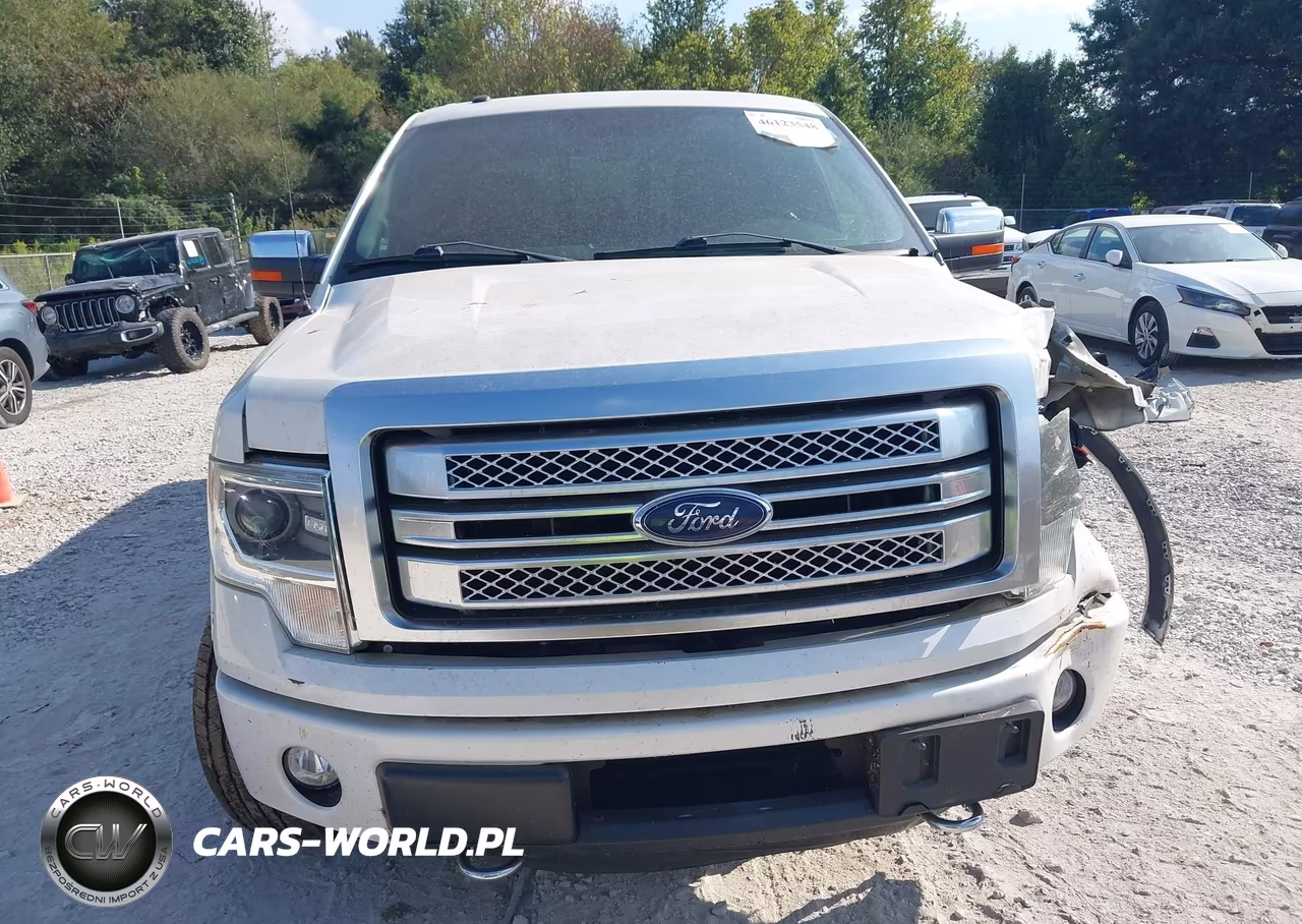 2014 Ford F-150 Platinum VIN:1FTFW1ET9EFA81456 - 12