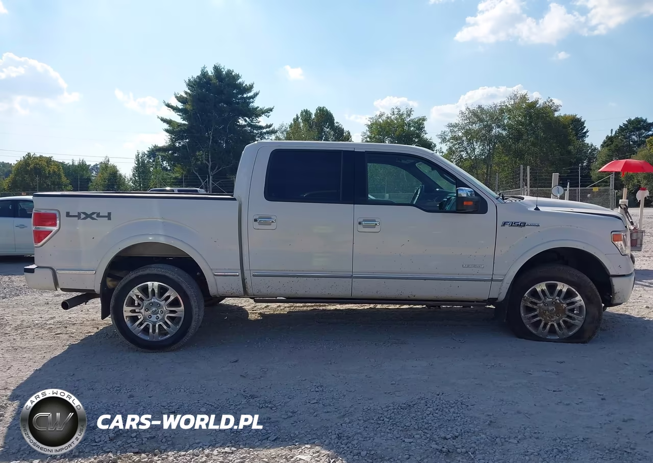 2014 Ford F-150 Platinum VIN:1FTFW1ET9EFA81456 - 13