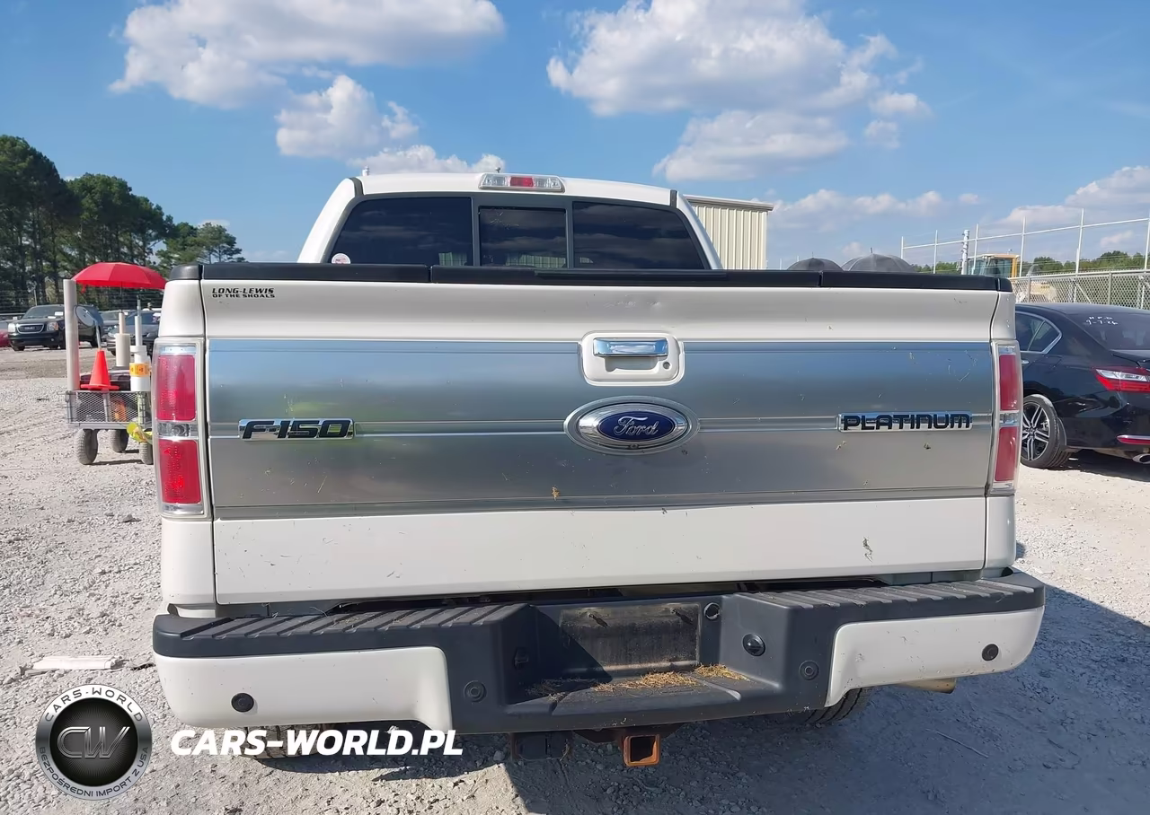 2014 Ford F-150 Platinum VIN:1FTFW1ET9EFA81456 - 16