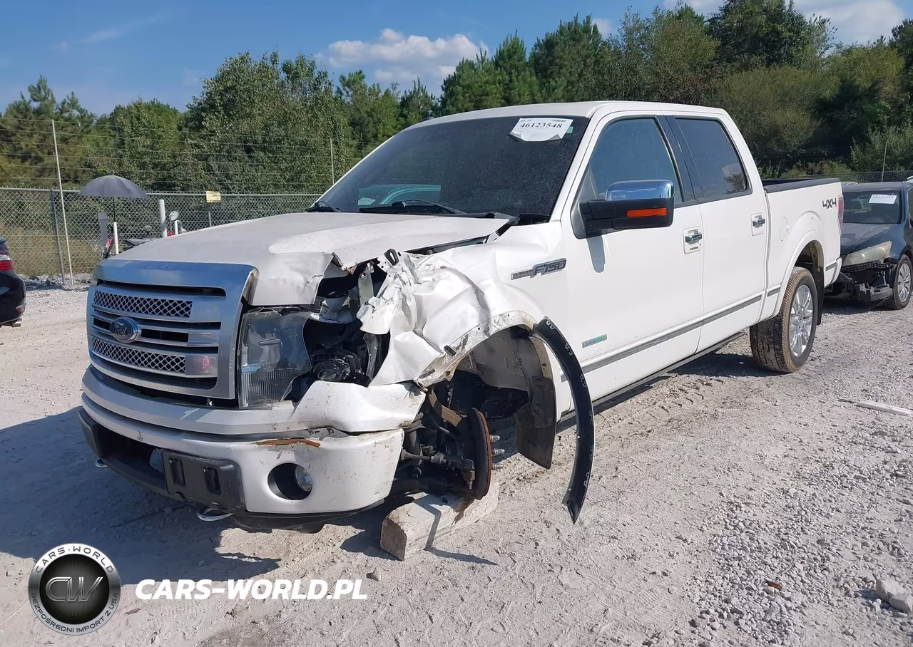 2014 Ford F-150 Platinum VIN:1FTFW1ET9EFA81456 - 2